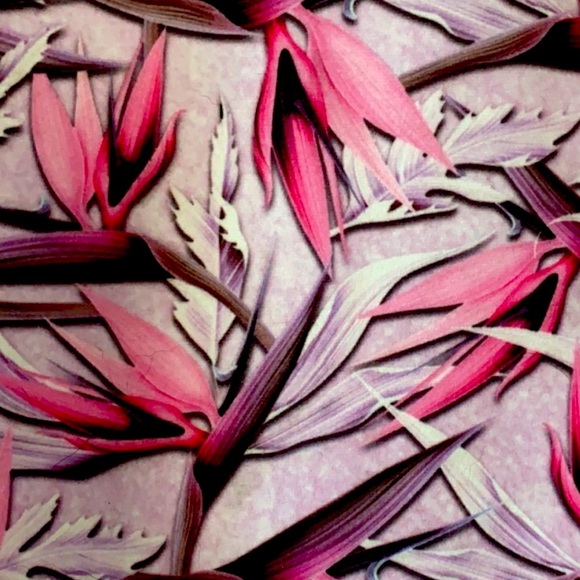 3/$25👟EVOLUTION AND CREATION L - Picture 3 of 6